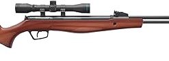 Stoeger S6000-E Combo – .22 Caliber – Hardwood with X-Power Dome Pointed Pellets 2