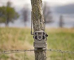 TACTACAM Reveal X Gen 2.0 LTE Cellular Trail Camera + Solar Panel + Lipo Lithium Battery Pack + 32GB SD Card (2 PK) 2