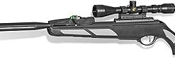 Gamo Swarm Viper 10X GEN3i .22 Cal. 10 Pellet Air Rifle and Magazine Bundle 2