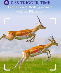 BLAZEVIDEO 4-Pack Game & Trail Cameras 32MP 1296P 75ft Night Vision Time Lapse Wildlife Deer Hunting Cams No Glow Infrared Motion Activated IP66 Waterproof Password Protection Photo & Video Model 2