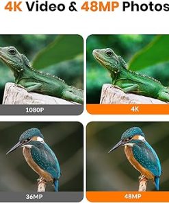 Trail Camera 4K 48MP Game Camera with Motion Activated, Low Glow Infrared LEDs Night Vision 130° Wide Angle with 32GB SD Card for Outdoor Wildlife Deer 2