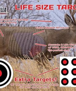 Deer Target – Full Size Deer Target Archery & Rifle Target (3-in-1 Life Size Mule Deer & Whitetail Deer Heavy Duty Target) 2
