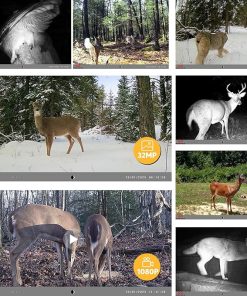 WOSPORTS Trail Camera 6 Pack, 32MP 1080P HD, Deer Camera with 32GB SD Card, Game Cameras with Night Vision Motion Activated Waterproof, Outdoor Wildlife Monitoring Equipment for Hunting 2
