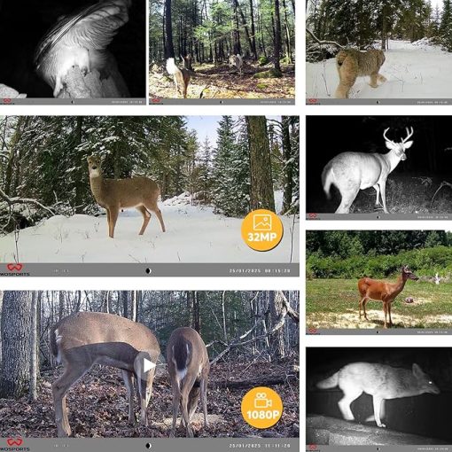 WOSPORTS Trail Camera 6 Pack, 32MP 1080P HD, Deer Camera with 32GB SD Card, Game Cameras with Night Vision Motion Activated Waterproof, Outdoor Wildlife Monitoring Equipment for Hunting - Image 2