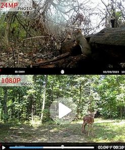 Mini Trail Camera 4 Pack 24MP 1080P HD+Straps 2 Pack,Game Camera with SD Card,78.7” Wildlife Heavy-Duty Game Hunting Camera Straps 2
